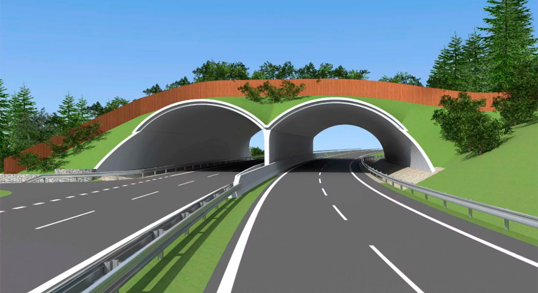 Перший ведмежий перехід над автомагістраллю побудують у Чехії